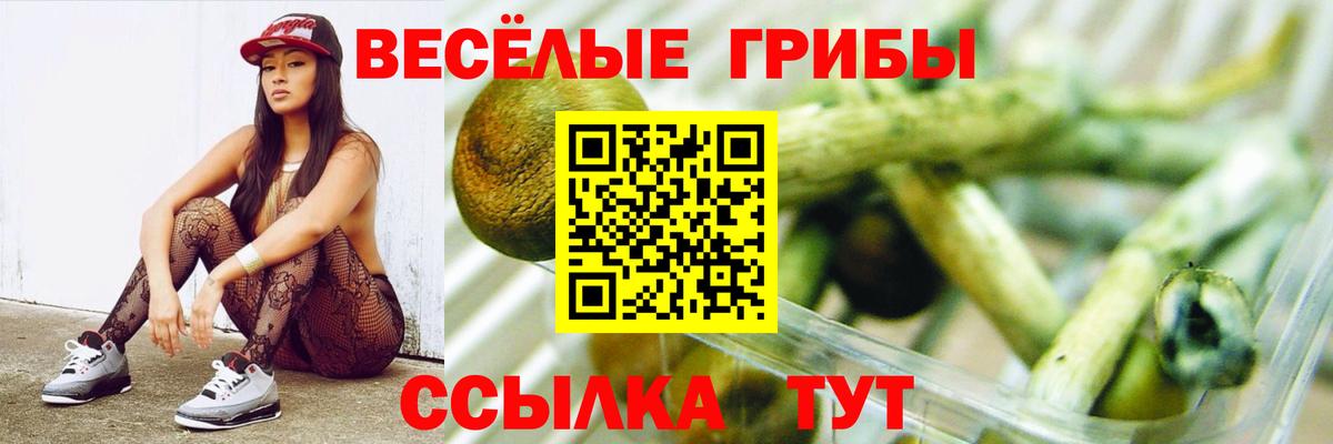 Псилоцибиновые грибы Psilocybine cubensis  Вход с VPN  Галлюциногенные грибы Psilocybe  Чебаркуль 