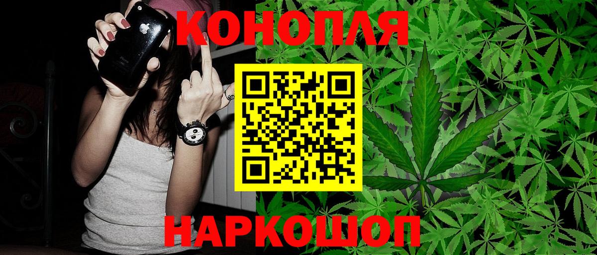 Бошки марихуана планчик  Вход с VPN  Чебаркуль  Шишки марихуана планчик 